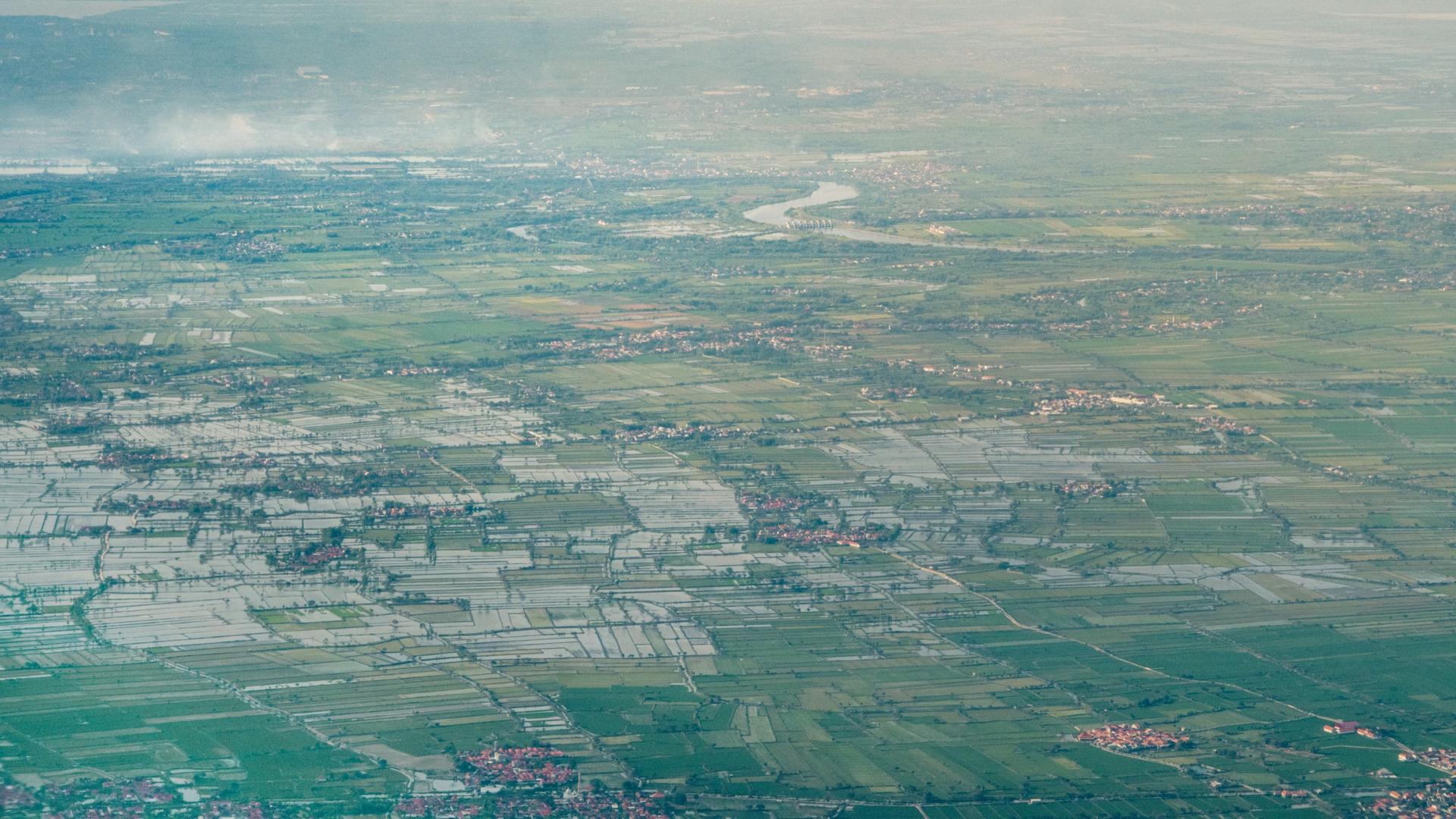 paddies, above java